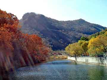 管家婆黑白马报图库，海龙燃油宝